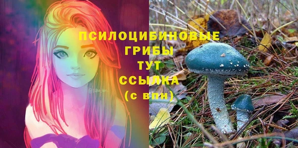 ALPHA PVP Гусь-Хрустальный