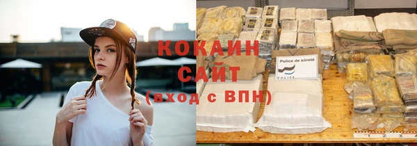 прущие крисы Гусев
