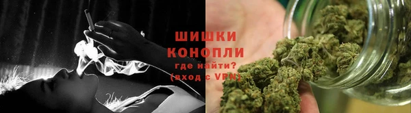 прущие крисы Гусев