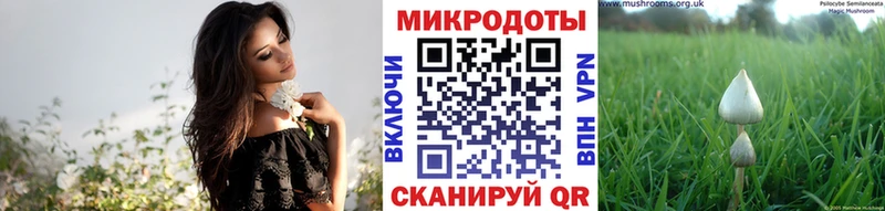 Псилоцибиновые грибы Psilocybine cubensis  Купить закладки  Мамоново 