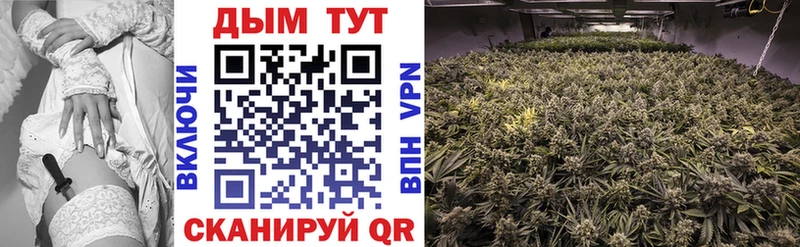 Купить  Мамоново  Канабис Amnesia 